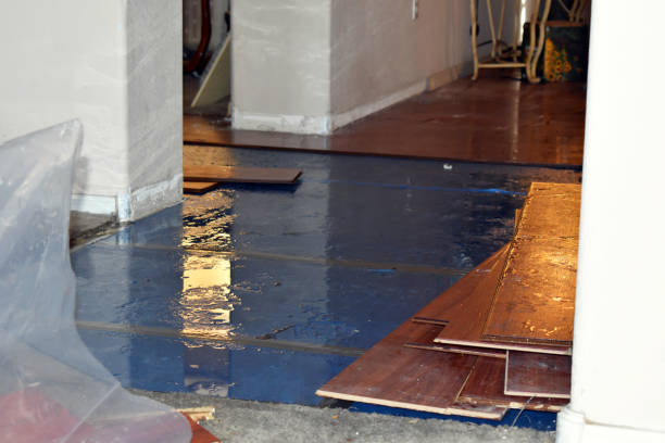 Professional Burst Pipe Cleanup technician working in Romayor, TX